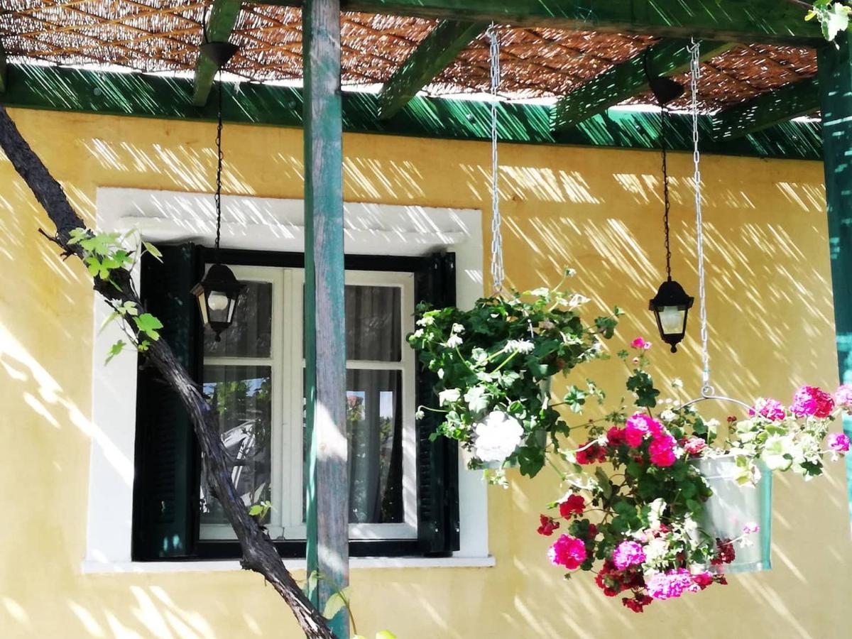 Villa Garden House In Corfu Corfu  Exterior foto